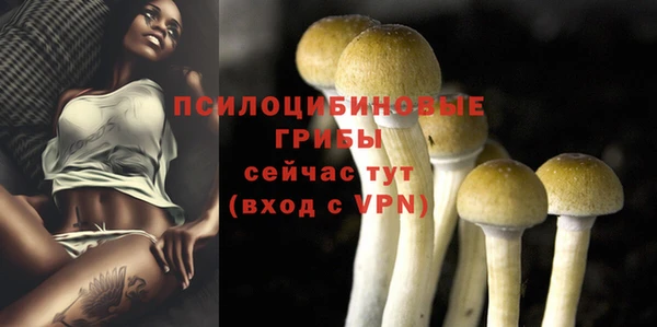 метамфетамин Елизово