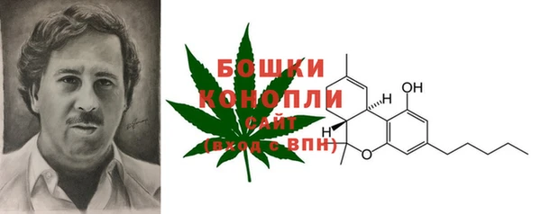 тгк Елабуга